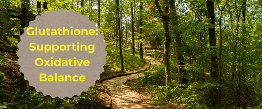 Glutathione: Supporting Oxidative Balance