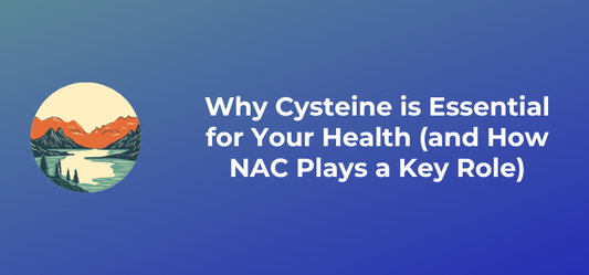 Why Cysteine is Essential for Your Health (and How NAC Plays a Key Role)