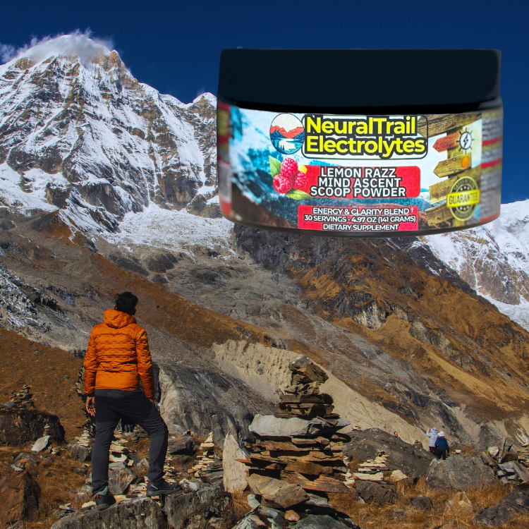 Adventurer Bundle Pack