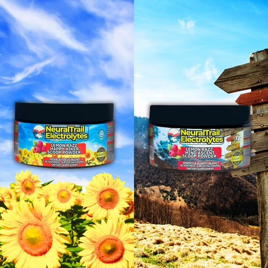 Adventurer Bundle Pack